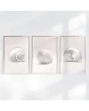 Sada plakátů SHELLS
