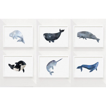 Sada plakátů SEA ANIMALS