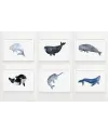 Sada plakátů SEA ANIMALS