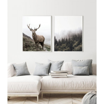 Sada plakátů WILDERNESS