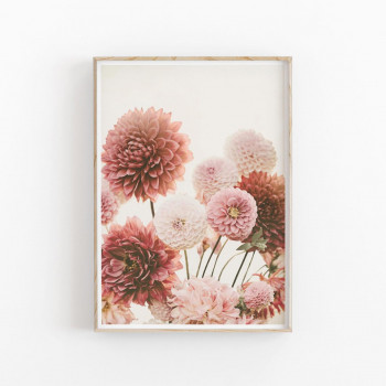 Plakát DAHLIA