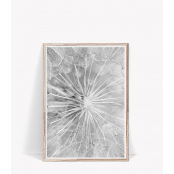 Plakát DANDELION nr.2
