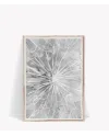 Plakát Dandelion | pampeliška