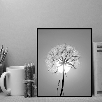 Plakát DANDELION nr.4