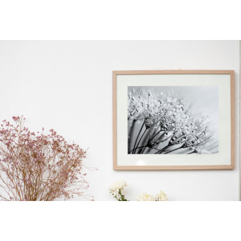 Plakát DANDELION nr.5