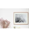 Plakát Dandelion | pampeliška