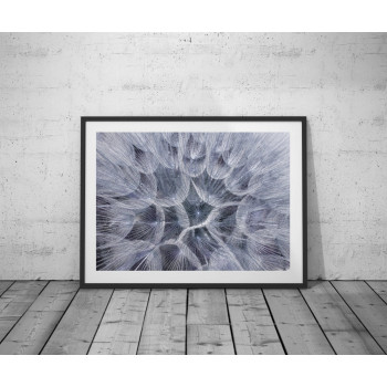 Plakát DANDELION nr.8