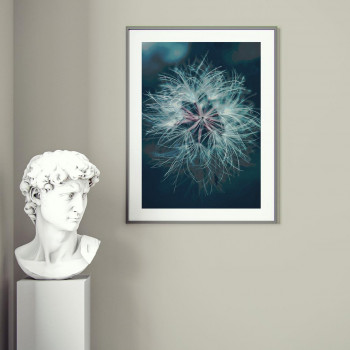 Plakát DANDELION nr.10