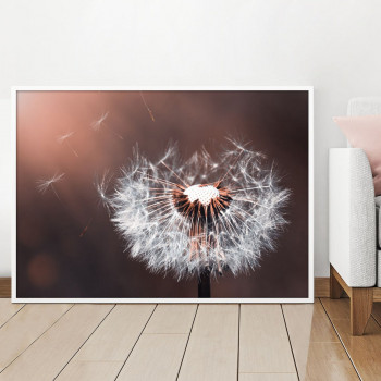 Plakát DANDELION nr.11