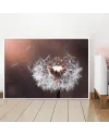 Plakát Dandelion | pampeliška