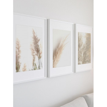 Sada plakátů IVORY