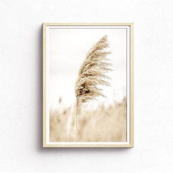 Plakát PAMPAS nr. 3