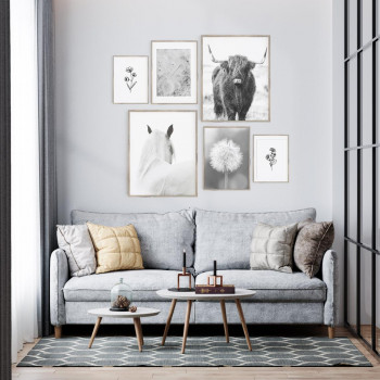 Sada plakátů BLACKY picture...