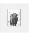 Plakát HIGHLAND COW | SCANDI KRÁVA
