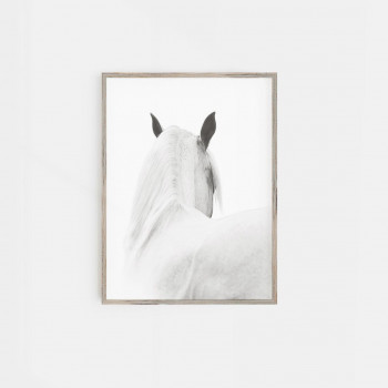 Plakát HORSE